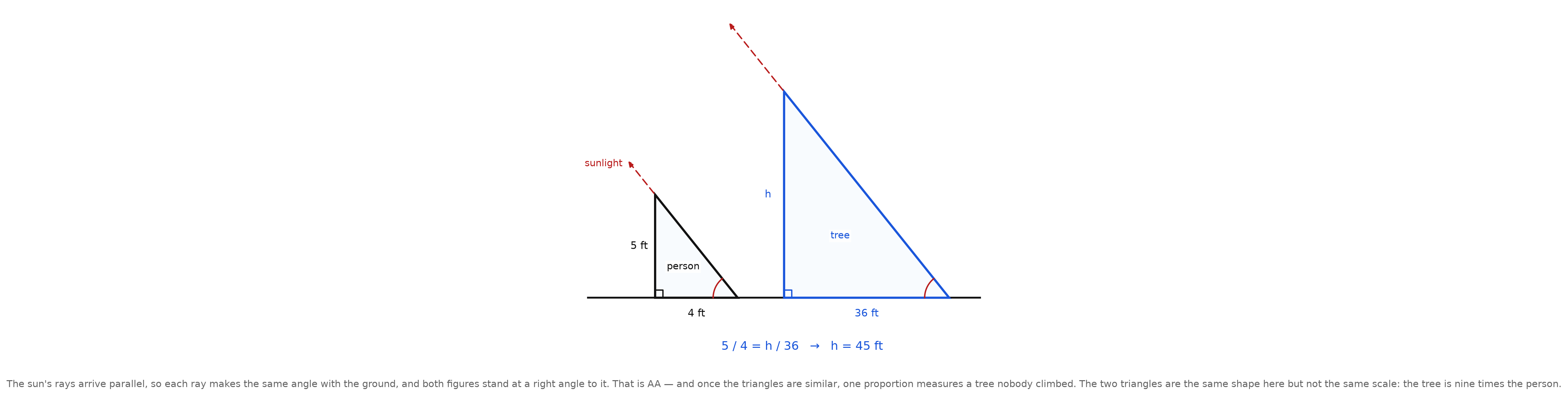A person and a tree standing on the same ground line, each with its shadow, the sun's rays drawn parallel, and the proportion five over four equals h over thirty-six written beneath