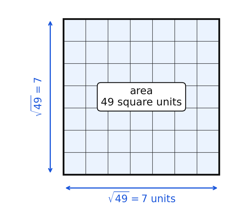 A square of area forty-nine square units whose side length is seven