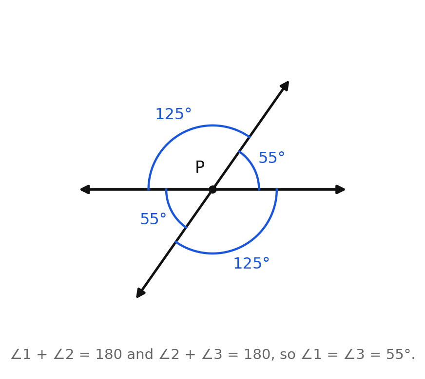 Two intersecting lines with vertical angles of 55 degrees and 125 degrees marked